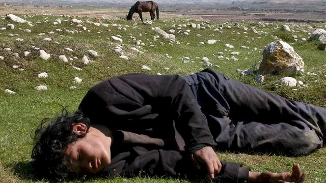Photo du film : L'Enfant-cheval