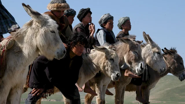 Photo du film : L'Enfant-cheval
