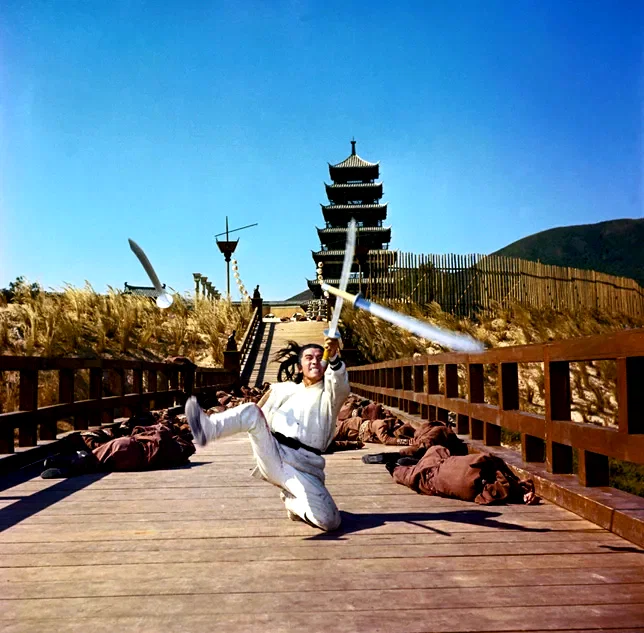 Photo du film : La Rage du tigre