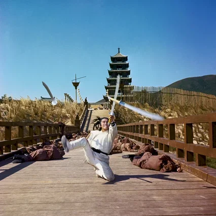 Miniature photo du film : La Rage du tigre