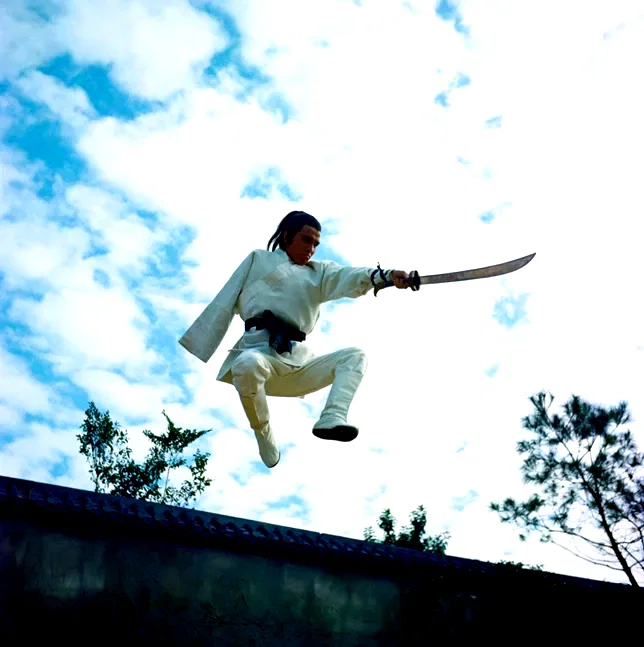 Photo du film : La Rage du tigre