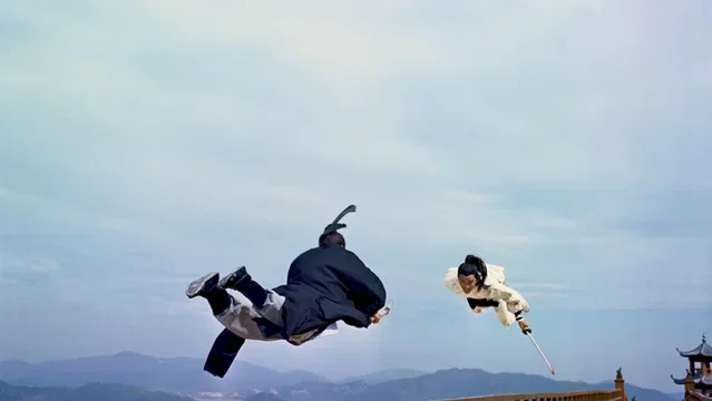 Photo du film : La Rage du tigre