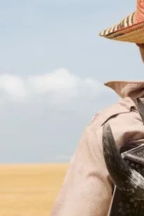 Affiche du film : Les voyages du vent