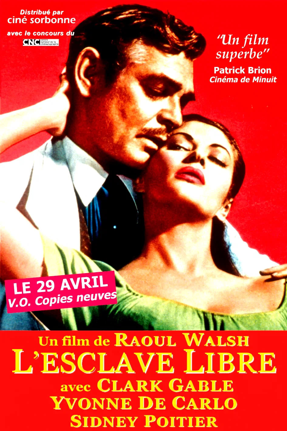 Affiche du film : L'Esclave libre