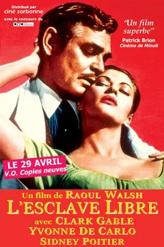 Affiche du film L'Esclave libre