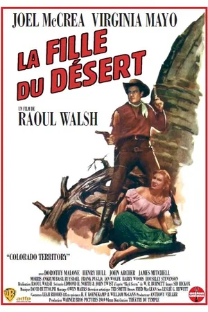 Affiche du film : La Fille du désert