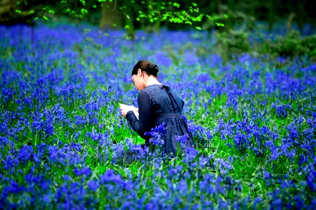 Photo 5 du film : Bright Star