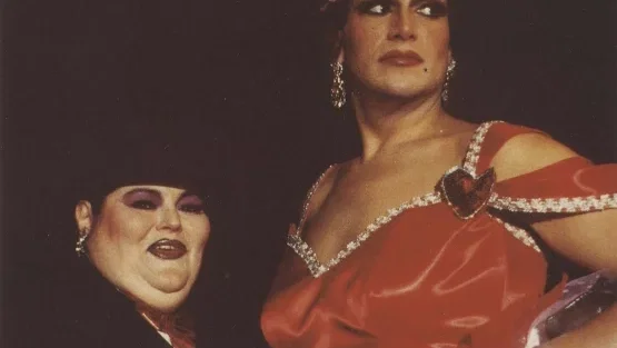 Photo 4 du film : Torch Song Trilogy