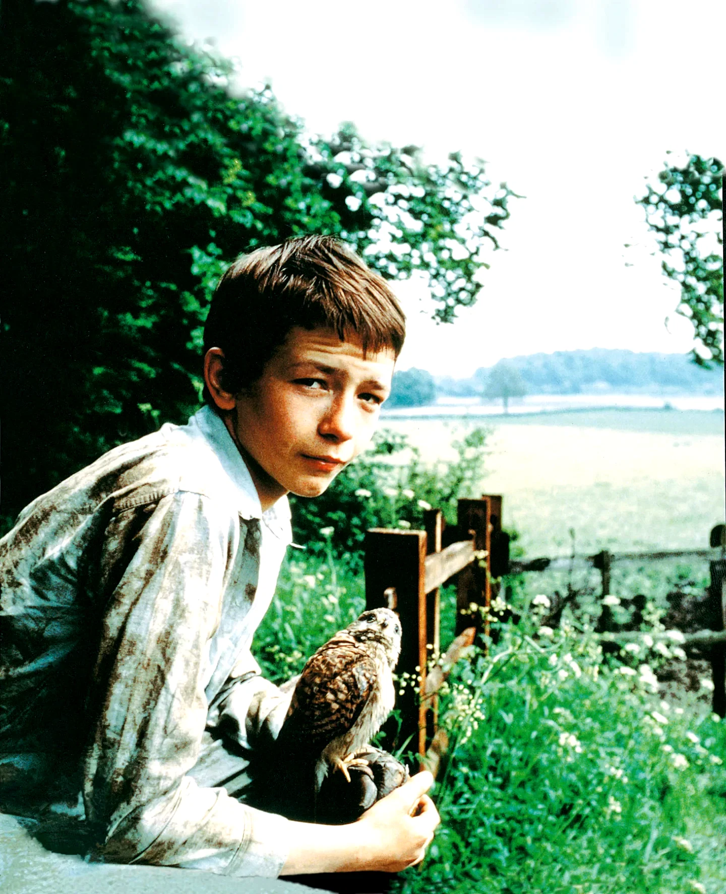 Photo 2 du film : Kes