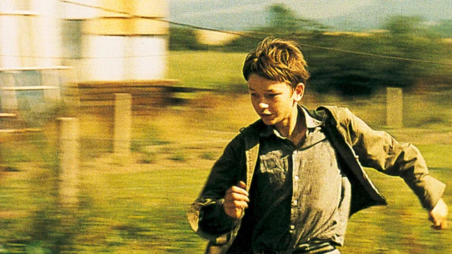 Photo 3 du film : Kes