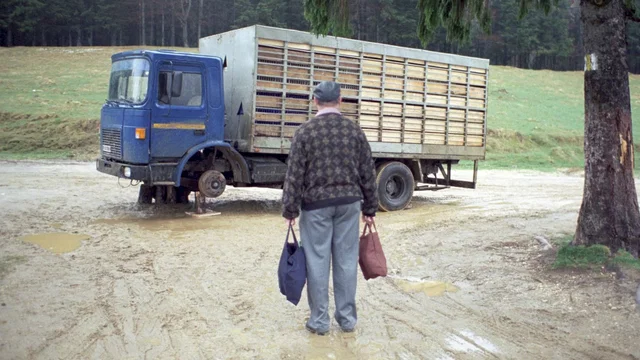 Photo du film : Contes de l'âge d'or