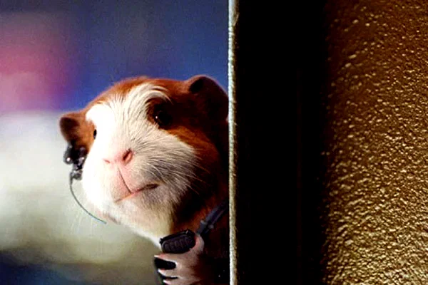 Photo 6 du film : Mission G