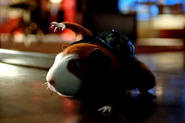 Photo 5 du film : Mission G