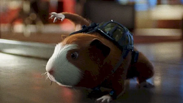 Photo 5 du film : Mission G