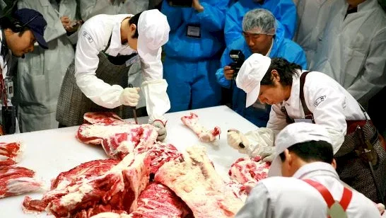 Photo 4 du film : Le grand chef