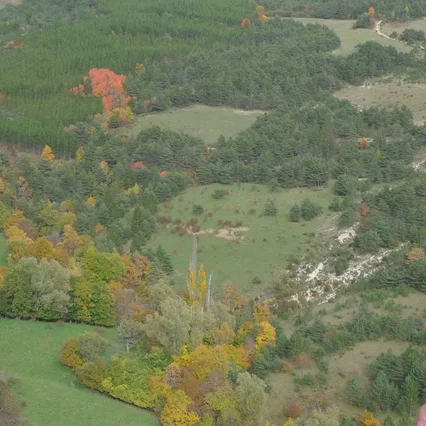 Miniature photo du film : La Terre de la folie