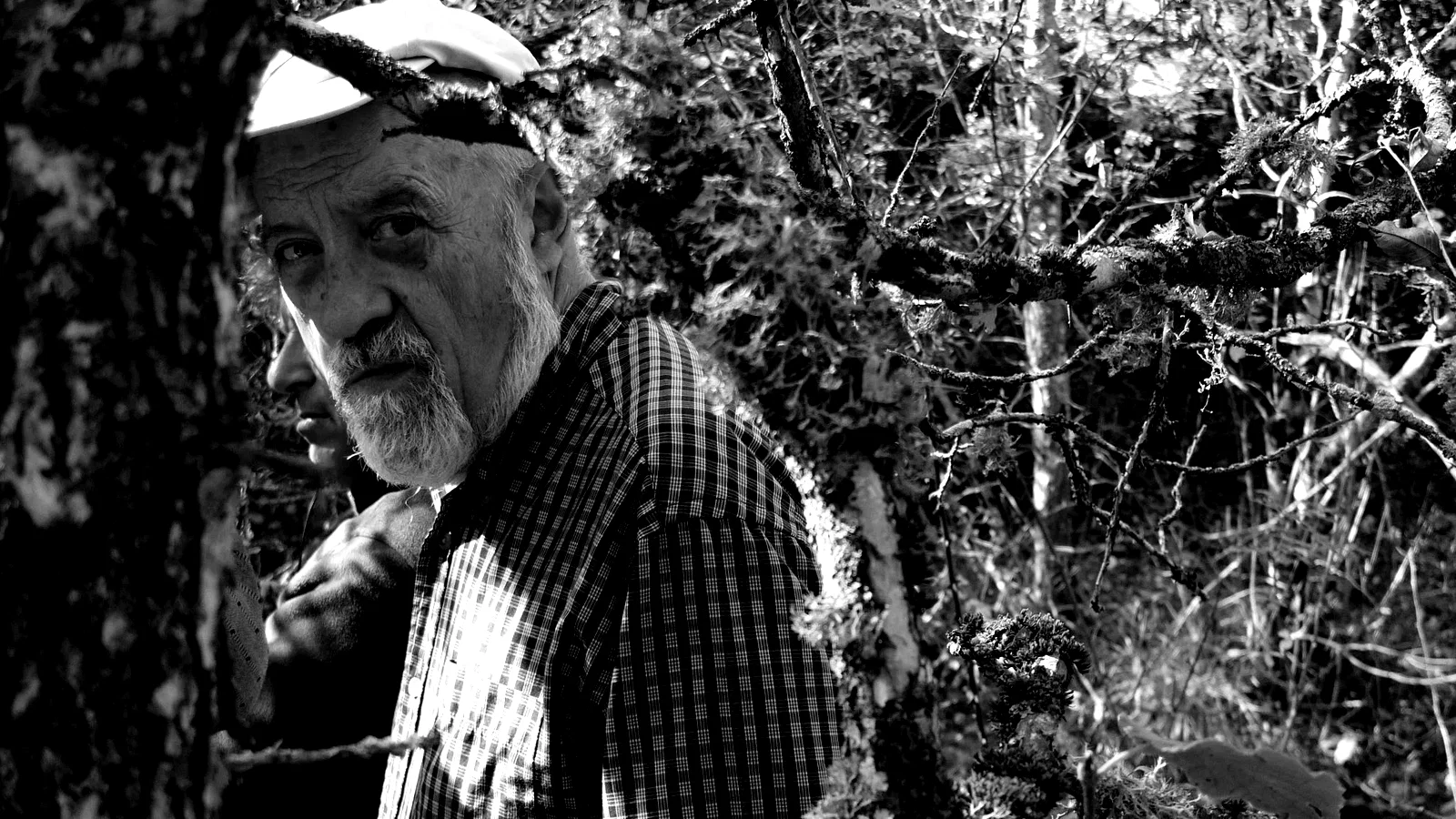 Photo du film : La Terre de la folie