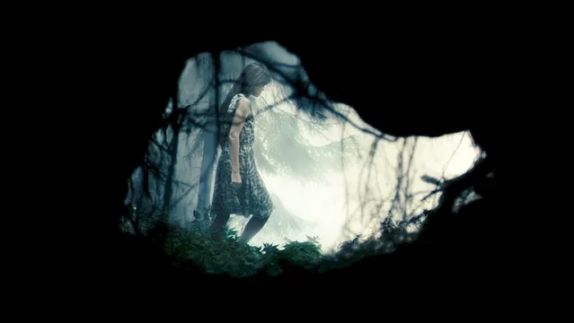 Photo 7 du film : Antichrist