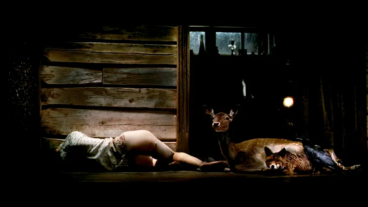 Photo 13 du film : Antichrist