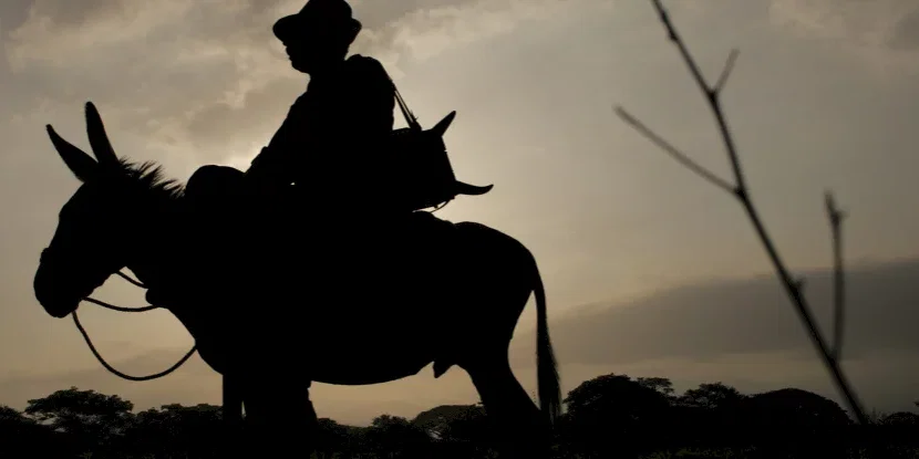 Photo 9 du film : Les voyages du vent