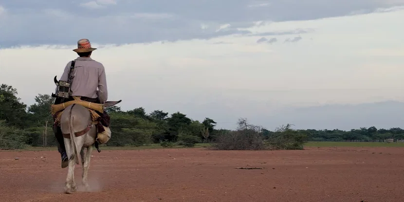 Photo 16 du film : Les voyages du vent