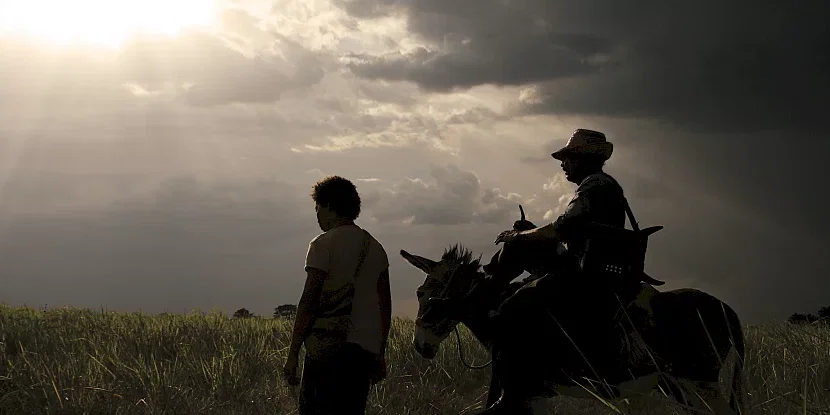 Photo 22 du film : Les voyages du vent