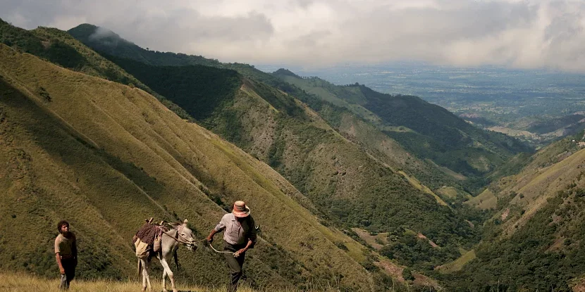 Photo 24 du film : Les voyages du vent