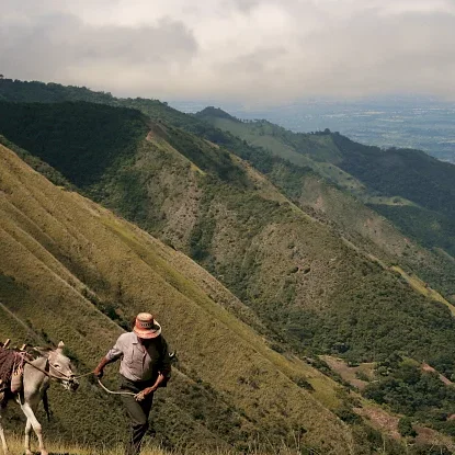 Miniature photo du film : Les voyages du vent