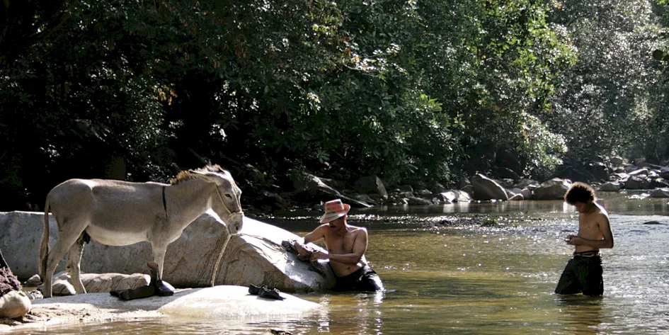 Photo 29 du film : Les voyages du vent