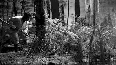 Photo du film : Independencia
