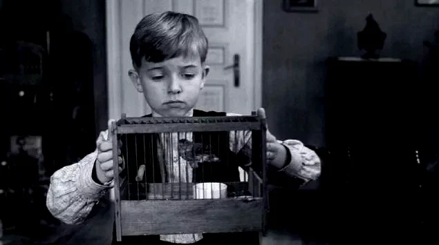 Photo 13 du film : Le Ruban blanc 