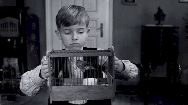 Photo du film : Le Ruban blanc 