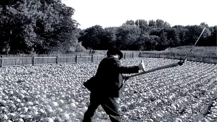 Photo 22 du film : Le Ruban blanc 