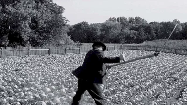 Photo du film : Le Ruban blanc 
