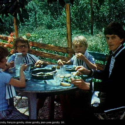 Miniature photo du film : L'épine dans le coeur