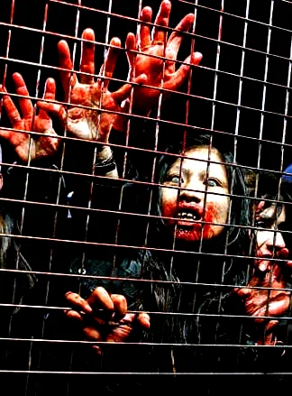 Photo 2 du film : La Horde