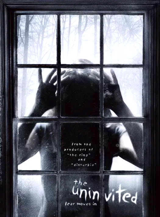 Affiche du film : Les Intrus