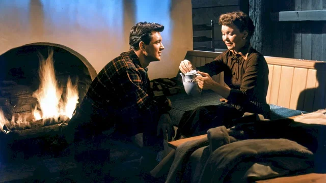 Photo 2 du film : Tout ce que le ciel permet