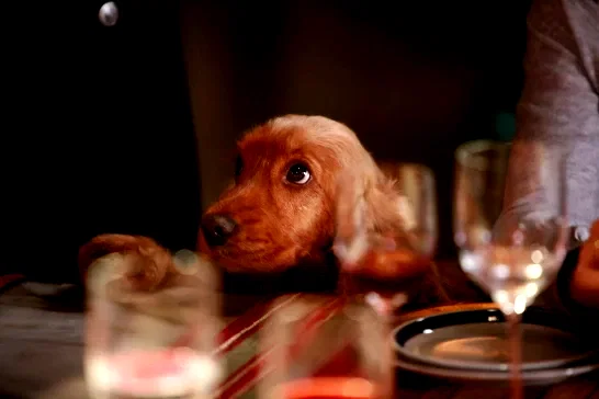 Photo 2 du film : Bambou