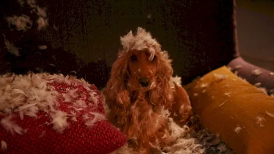 Photo du film : Bambou