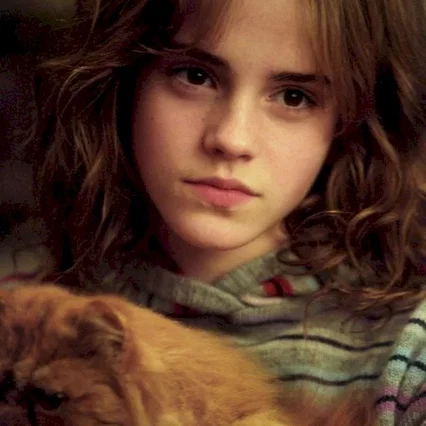 Miniature photo du film : Harry Potter et le prisonnier d'Azkaban