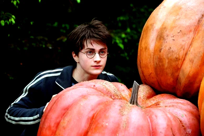 Photo du film : Harry Potter et le prisonnier d'Azkaban