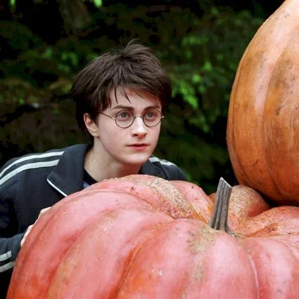 Miniature photo du film : Harry Potter et le prisonnier d'Azkaban