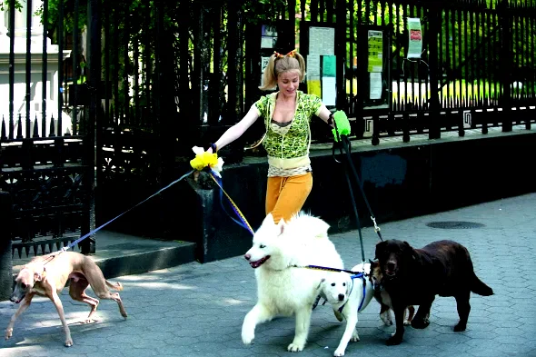 Photo 19 du film : Whatever works