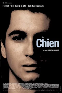 Affiche du film Le chien