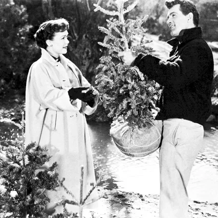 Photo 4 du film : Tout ce que le ciel permet