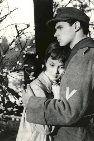 Photo du film : Le Temps d'aimer et le temps de mourir
