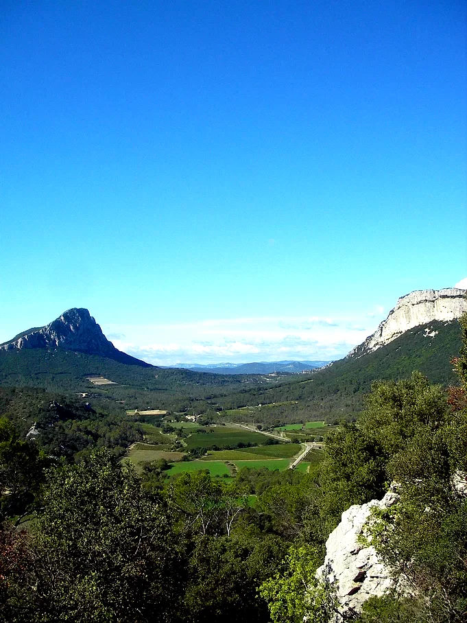 Photo 8 du film : 36 vues du Pic Saint-Loup