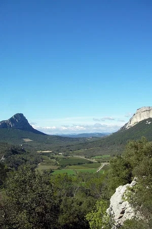 Photo 8 du film : 36 vues du Pic Saint-Loup