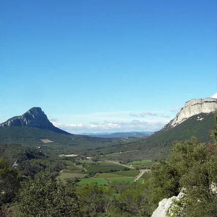 Miniature photo du film : 36 vues du Pic Saint-Loup